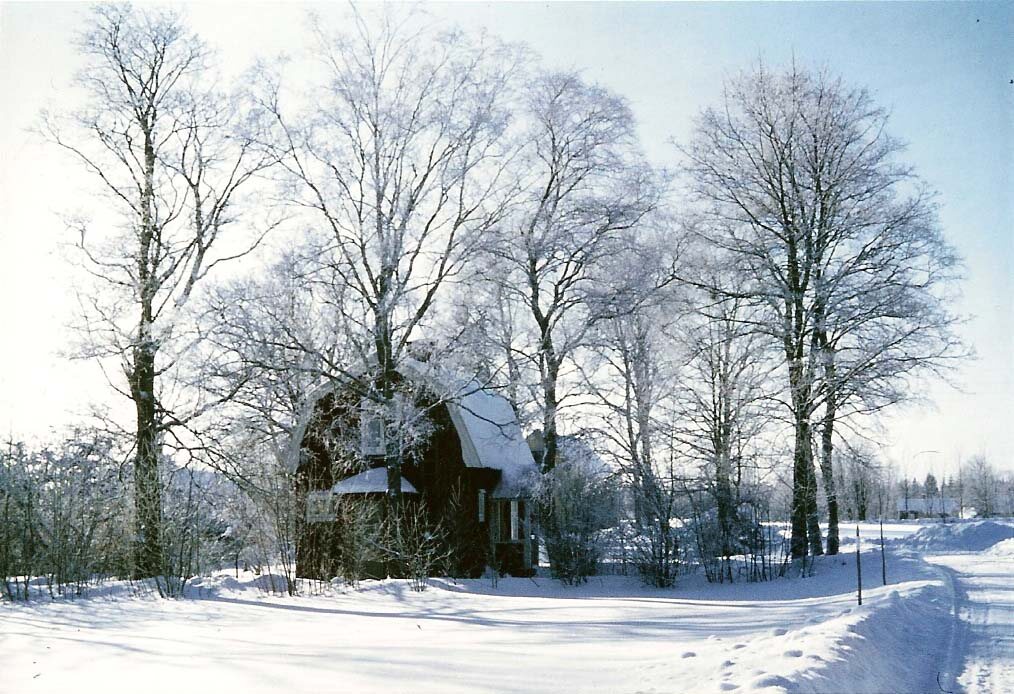 Liten mörk stuga bland rimfrostklädda träd vid en snötäckt väg